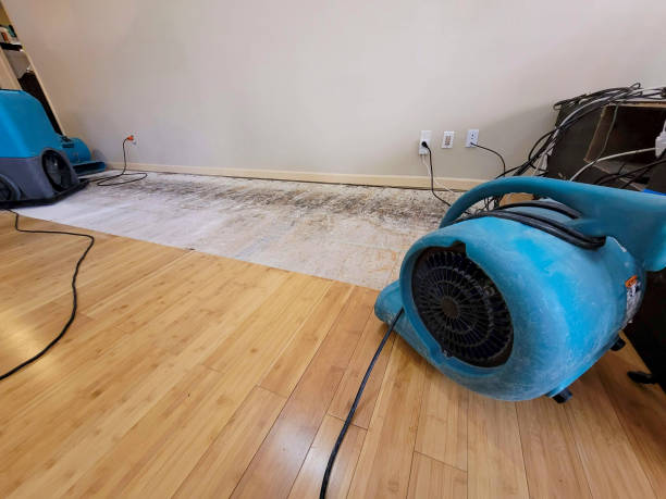 Professional Emergency Water Damage technician working in Prospect, PA